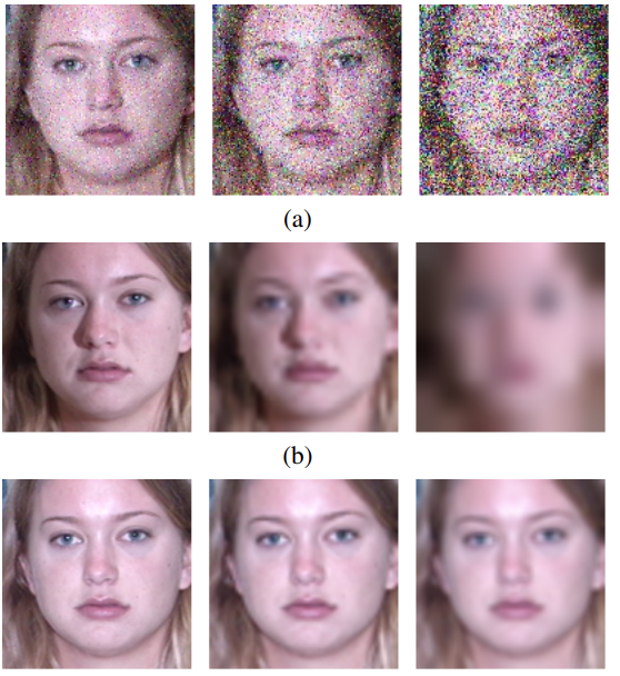 Face Quality Vector